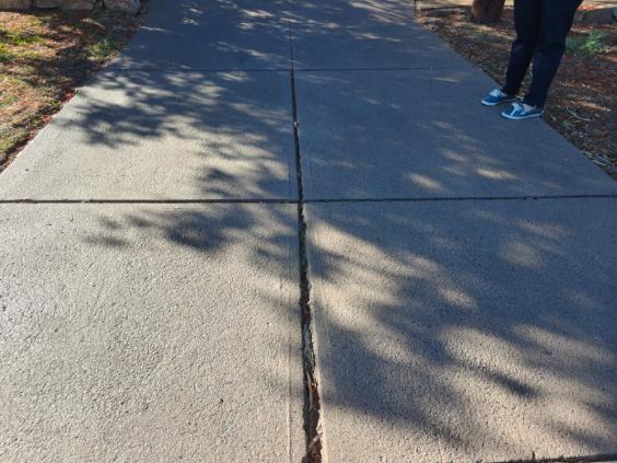 Residential Driveway Joint Sealing